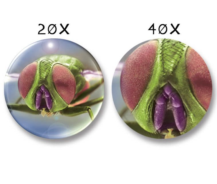 Zoomscope Microscope