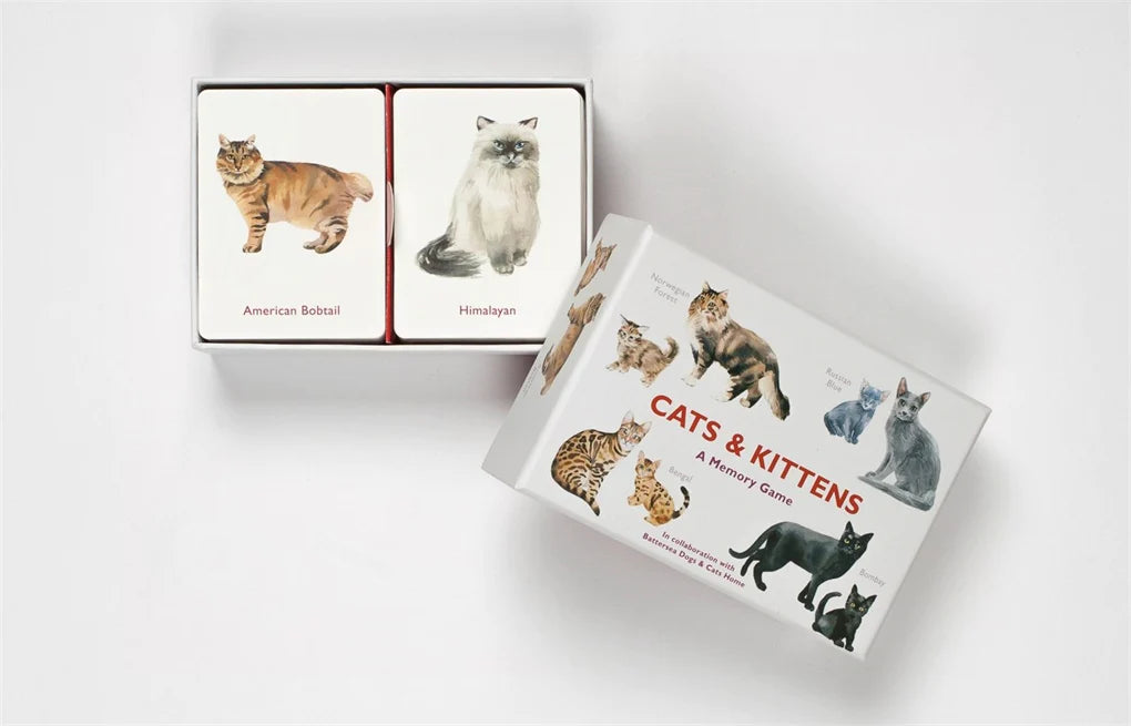 A Memory Game | Cats & Kittens