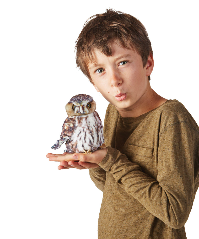 Puppet | Pygmy Owl