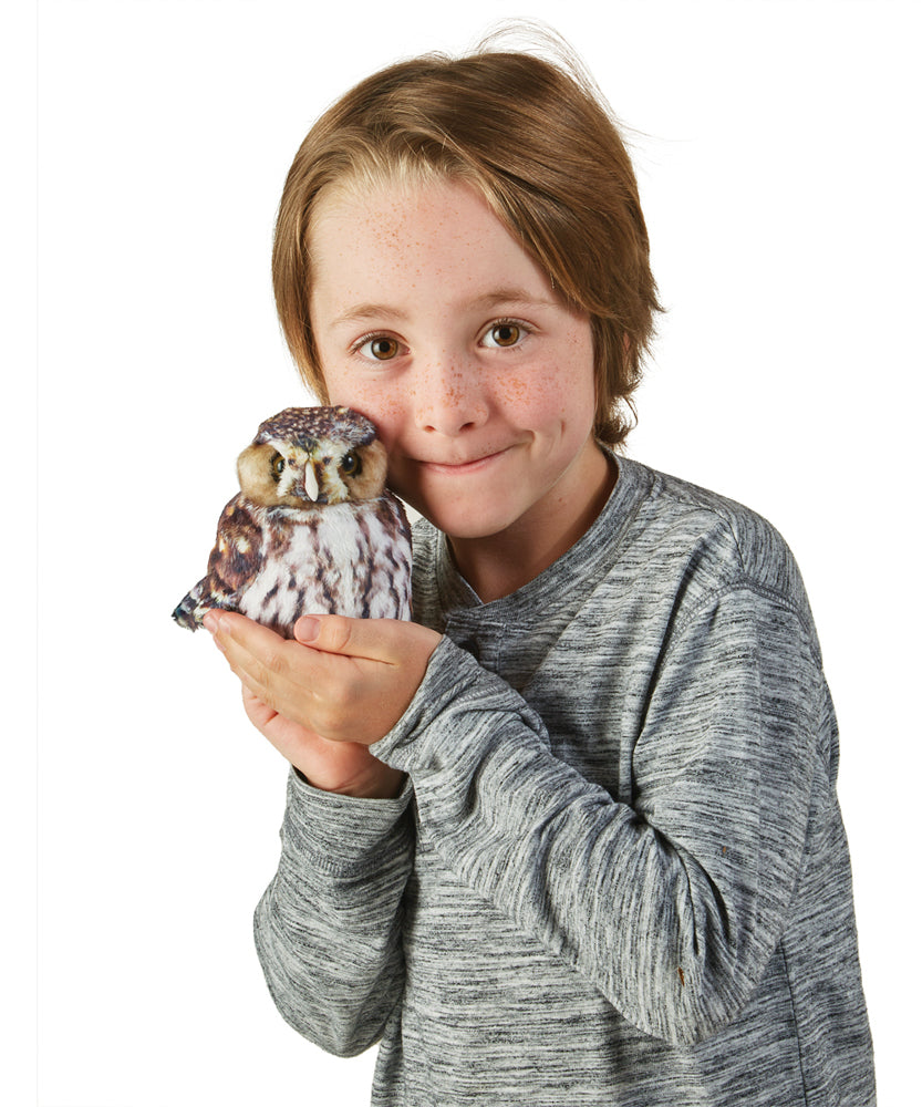 Puppet | Pygmy Owl
