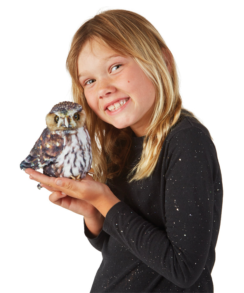Puppet | Pygmy Owl