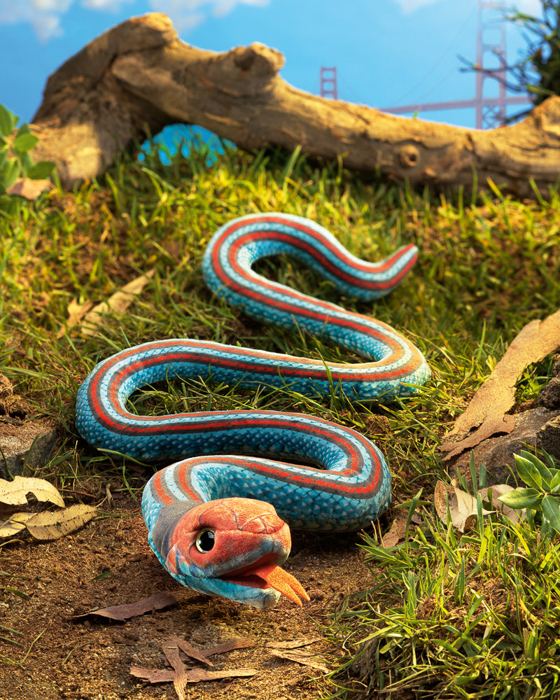 Puppet | San Francisco Garter Snake