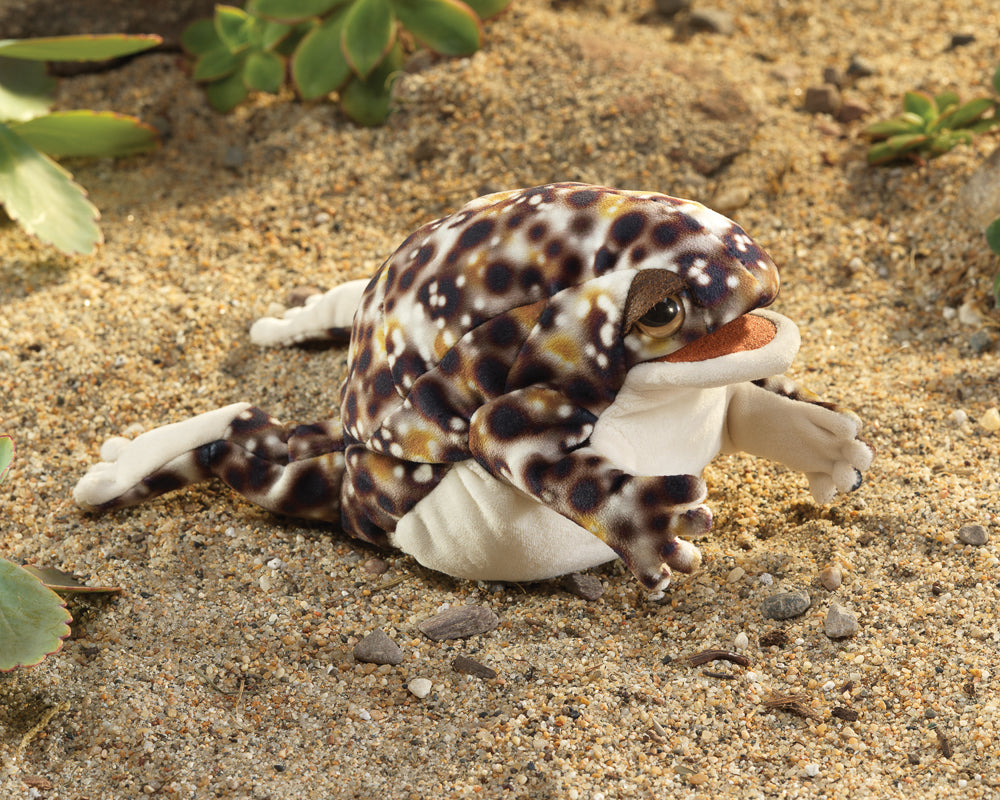 Puppet | Desert Rain Frog