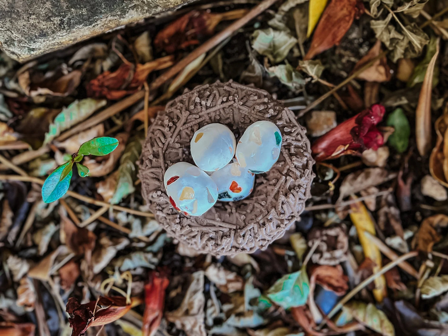 Beadie Bird Nest
