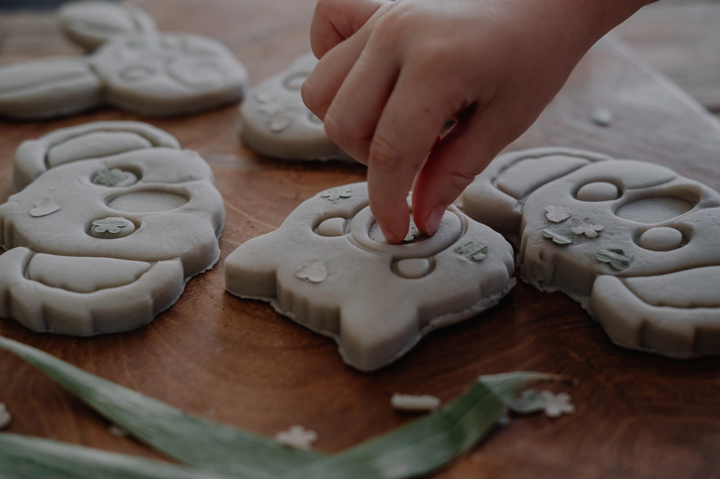 Aussie Animal Face Eco Playdough Cutter Set