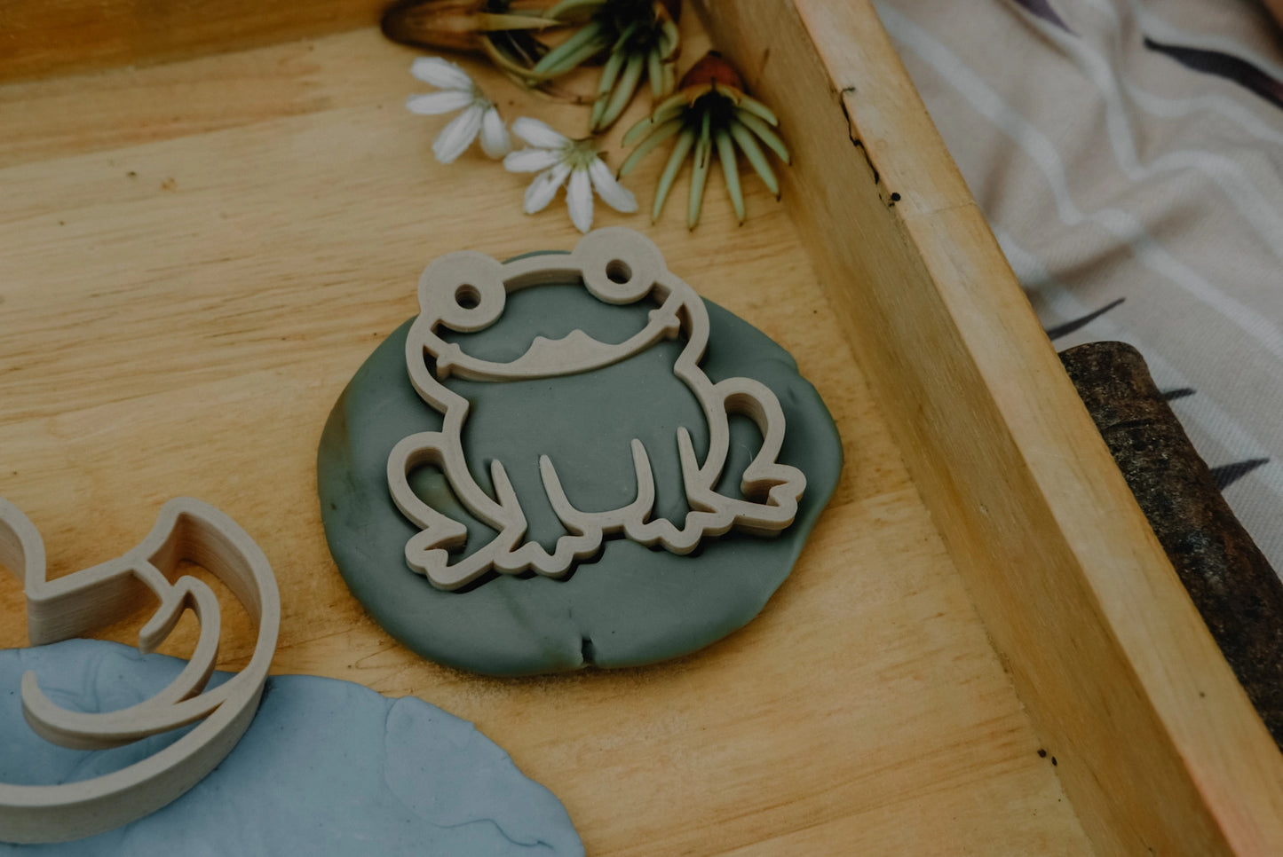 Pond Life Eco Playdough Cutter