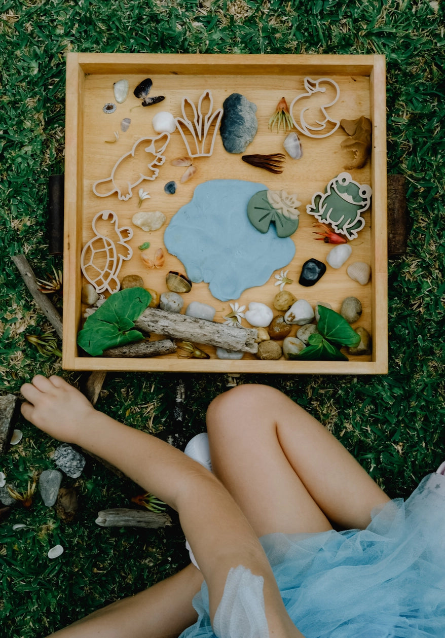 Pond Life Eco Playdough Cutter