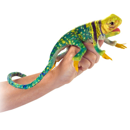 Finger Puppet | Collared Lizard