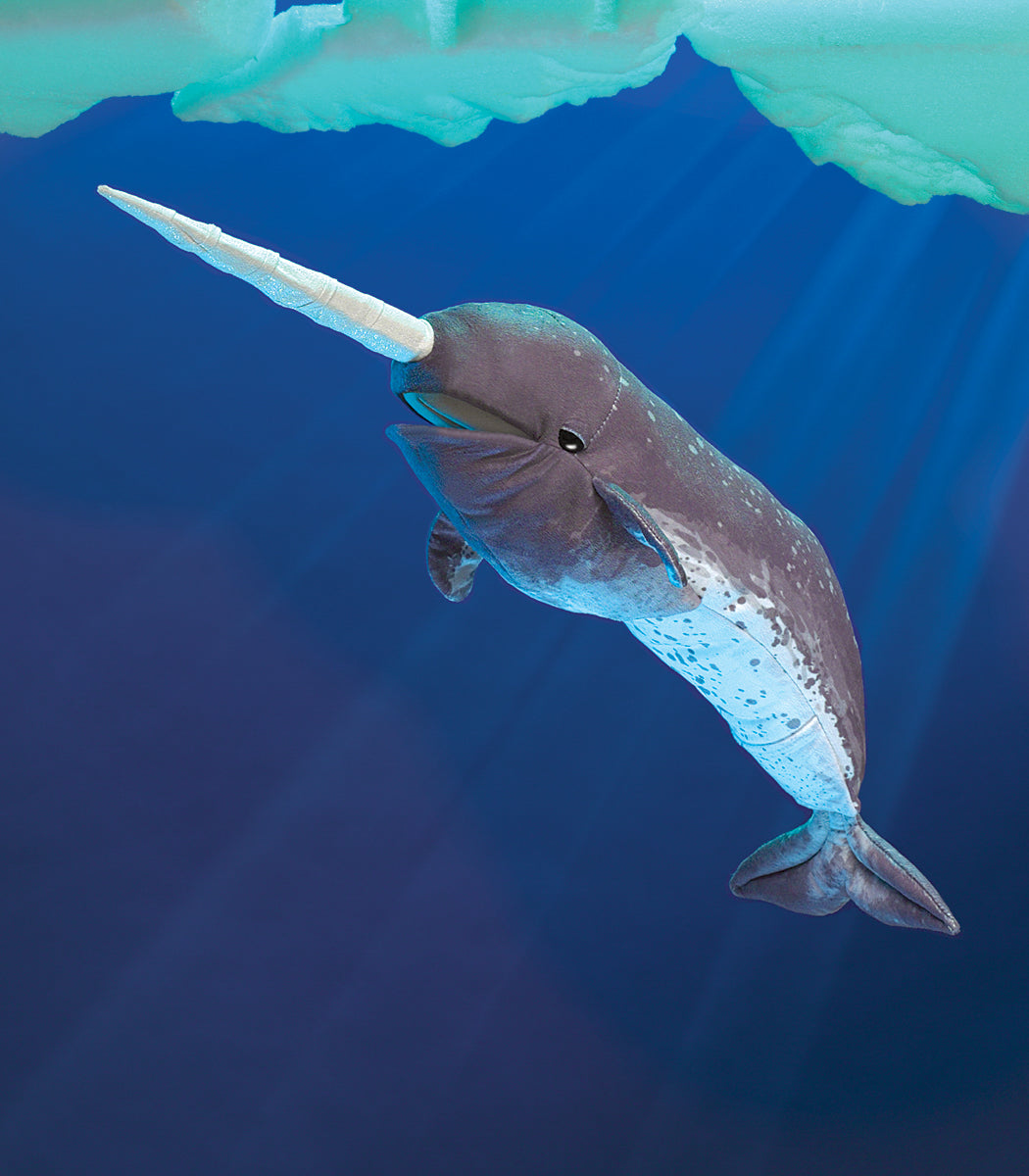 Puppet | Narwhal