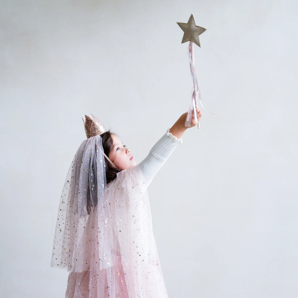 
                      
                        Shooting Star Crown
                      
                    