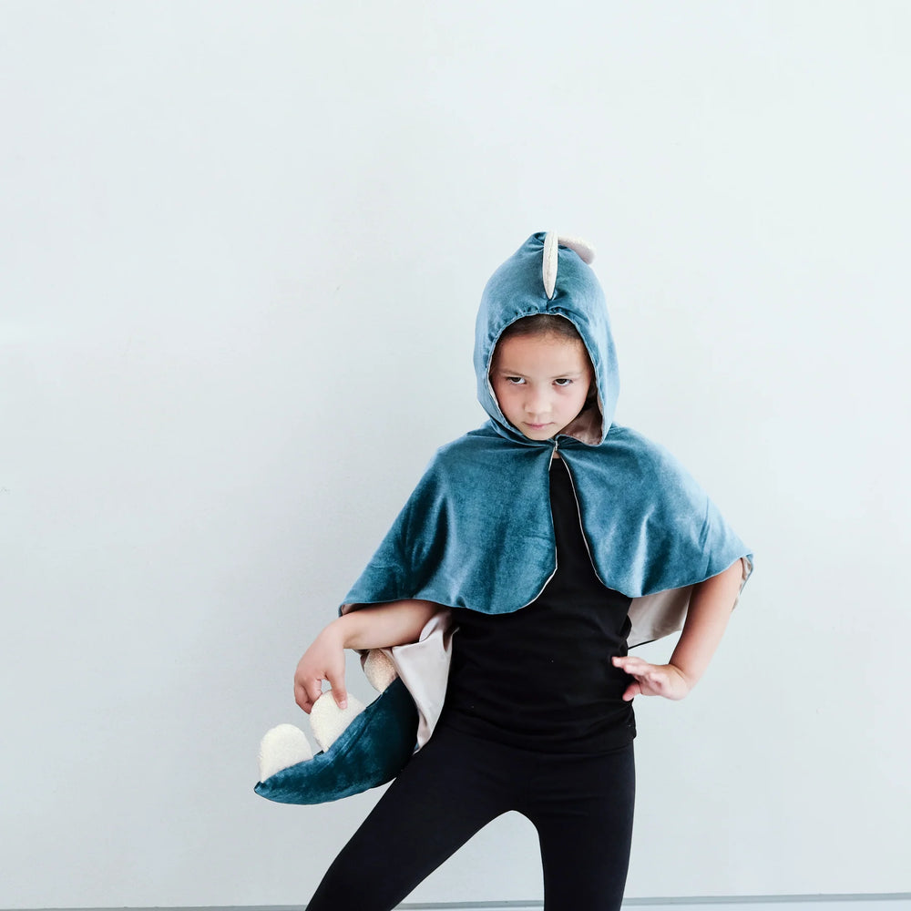 
                      
                        Friendly Dino Cape
                      
                    