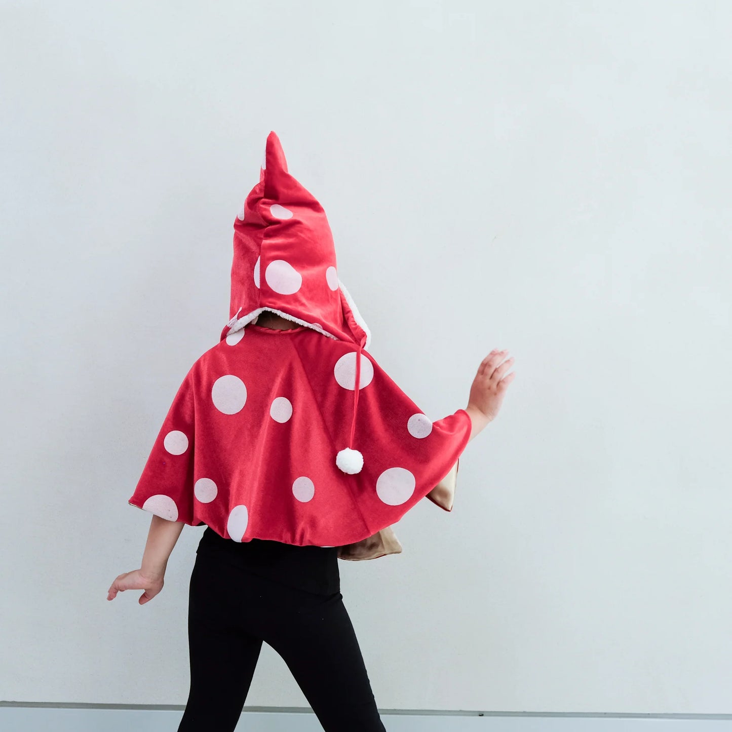 Toadstool Dress Up