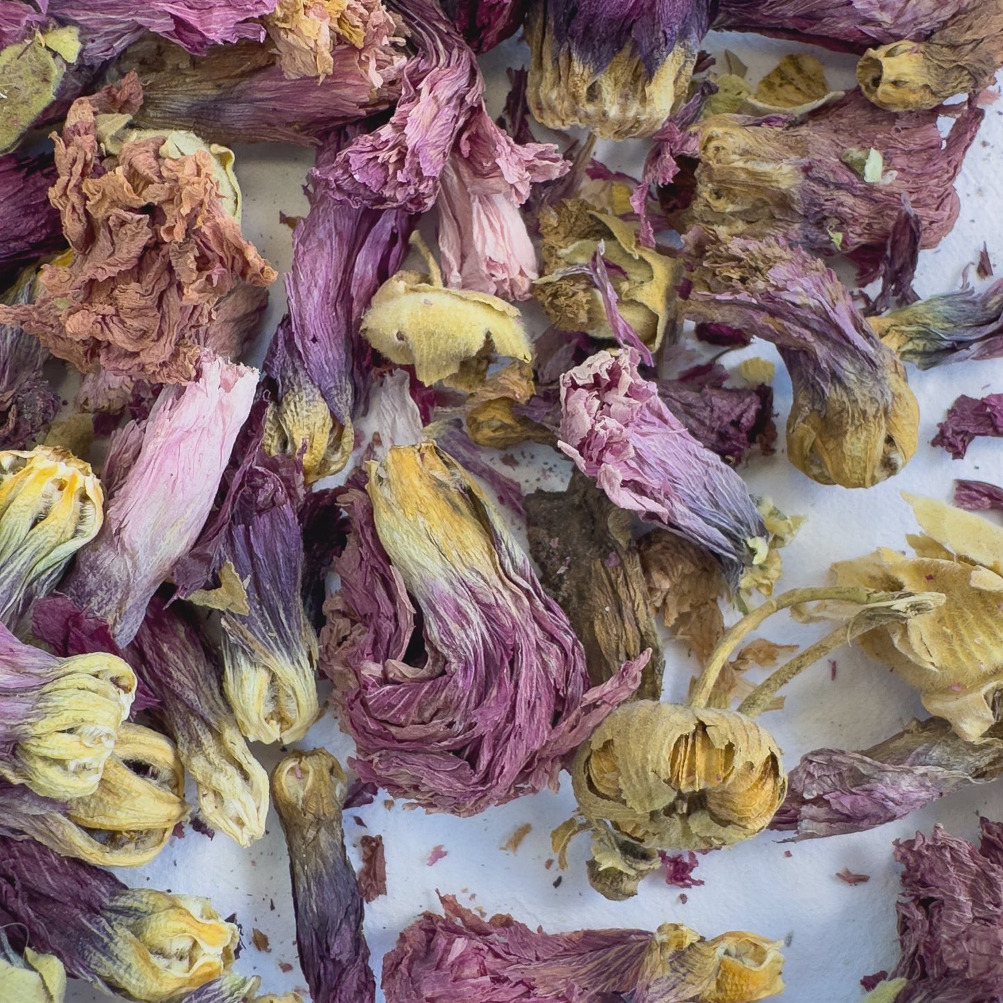 Delightful Dried Flowers | Vivacious Violet