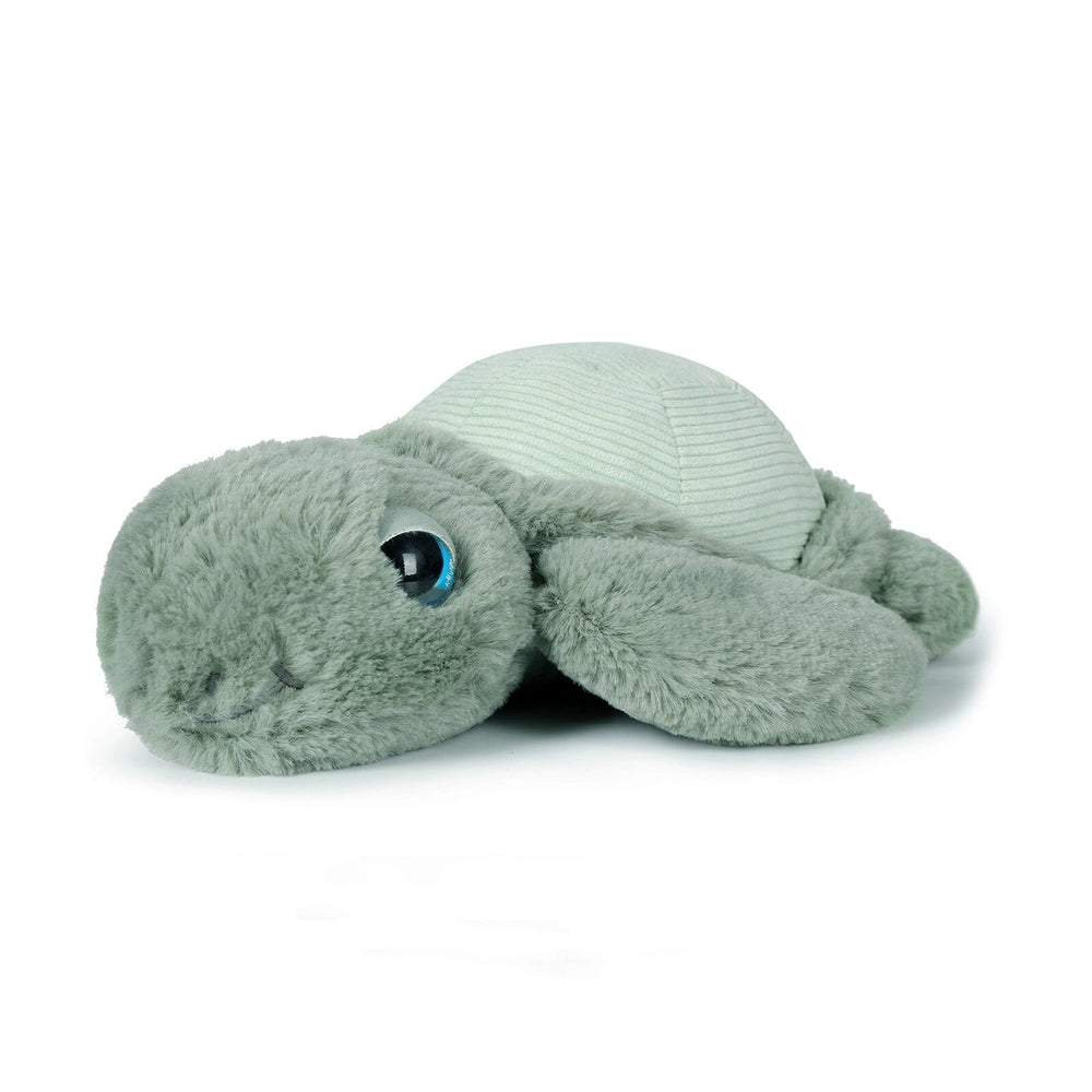 
                      
                        Little Tyler Turtle Soft Toy
                      
                    