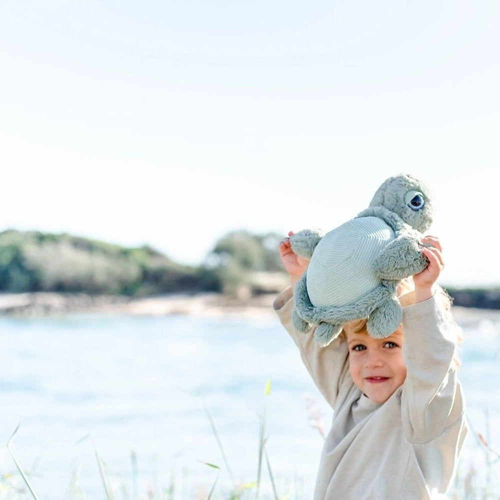 
                      
                        Tyler Turtle Soft Toy
                      
                    