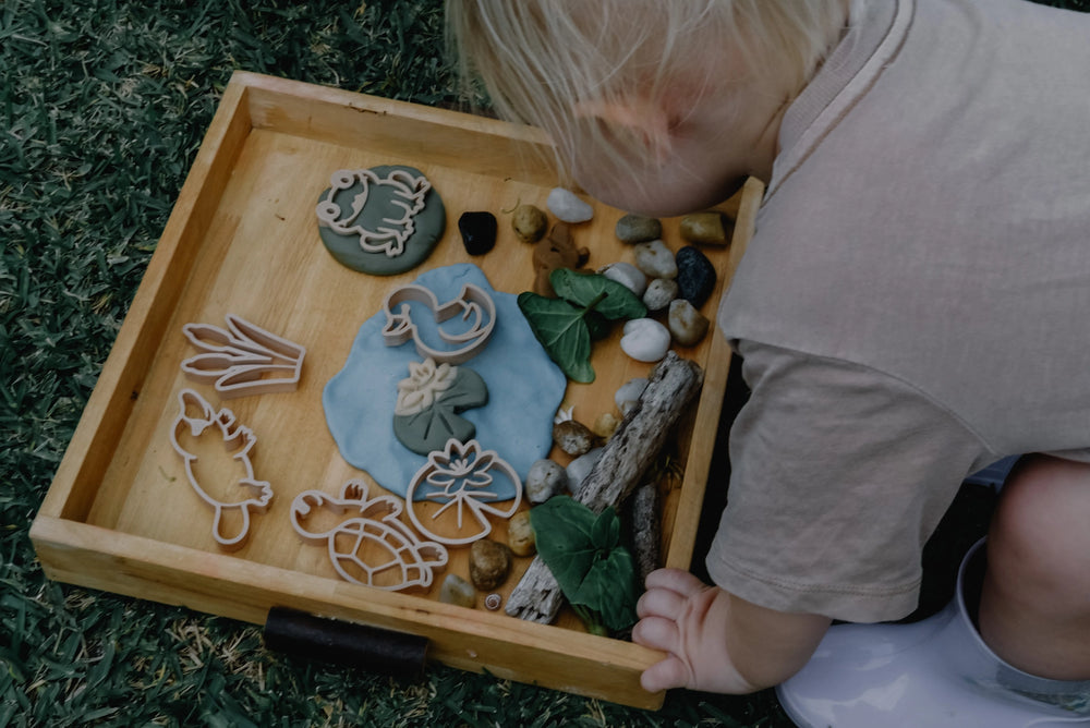 Pond Life Eco Playdough Cutter