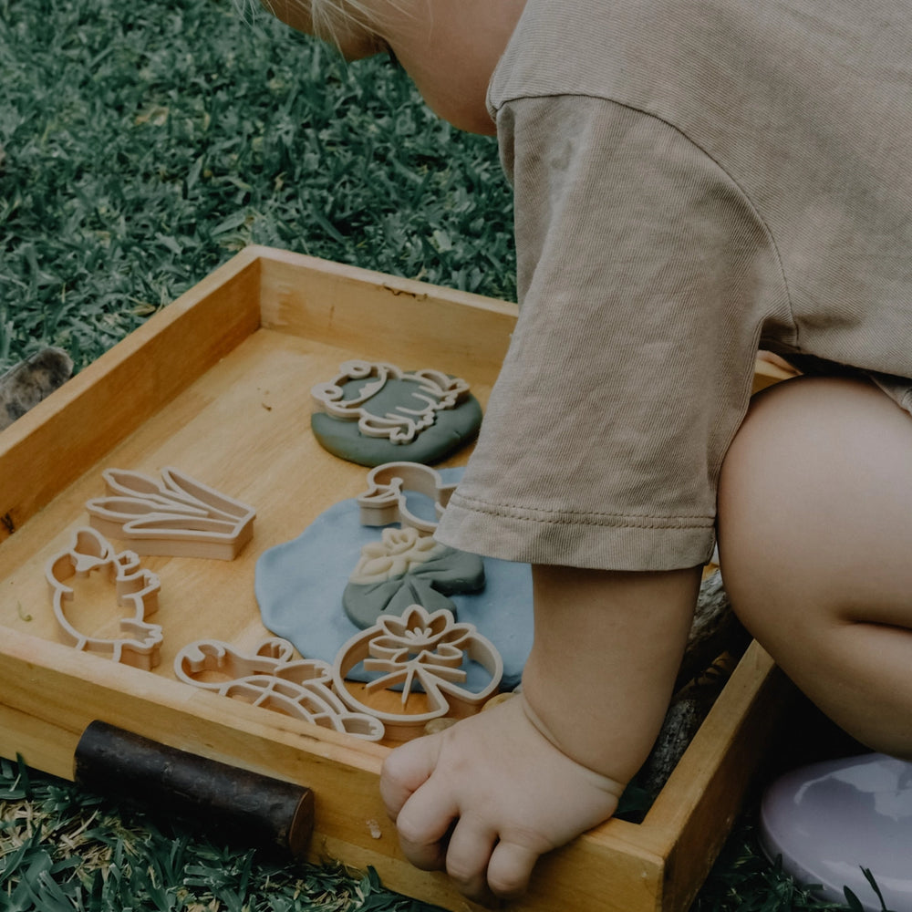 
                      
                        Pond Life Eco Playdough Cutter
                      
                    