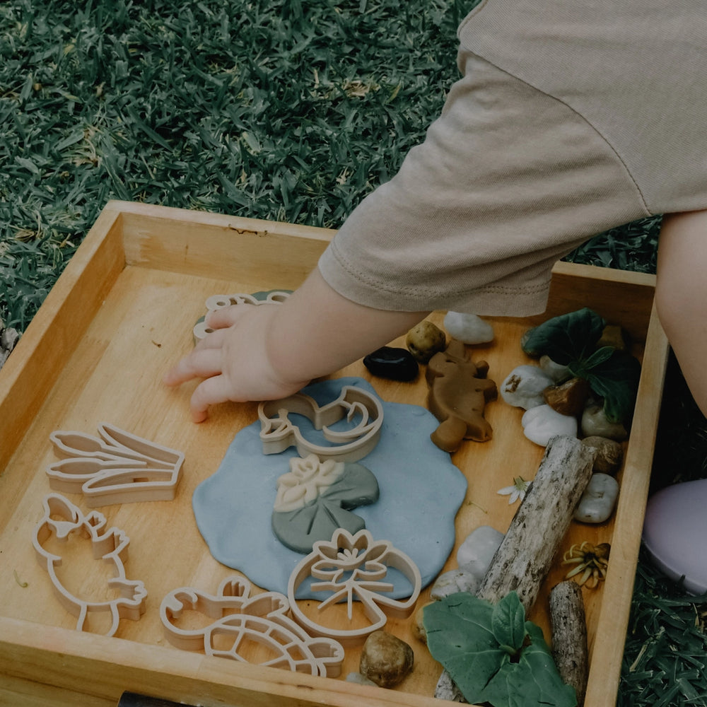 
                      
                        Pond Life Eco Playdough Cutter
                      
                    