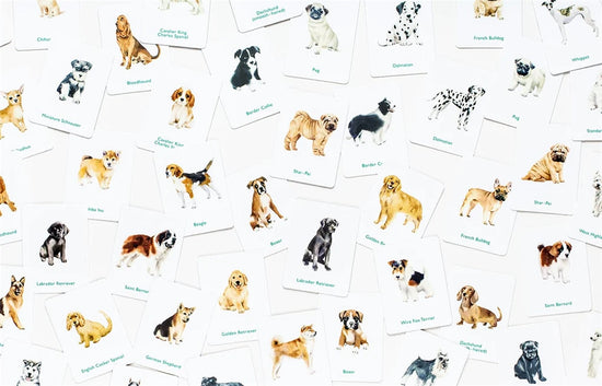 A Memory Game | Dogs & Puppies