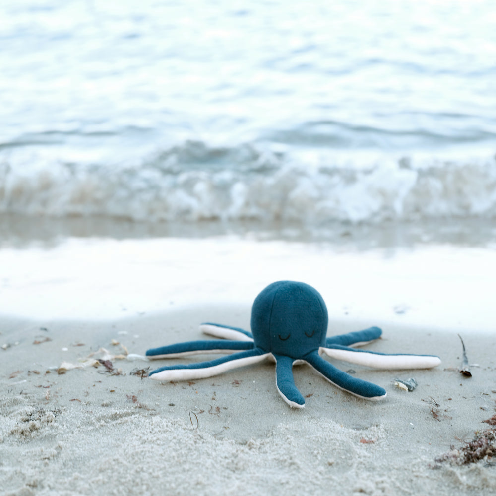 
                      
                        Octopus Rattle | Blue Spruce
                      
                    