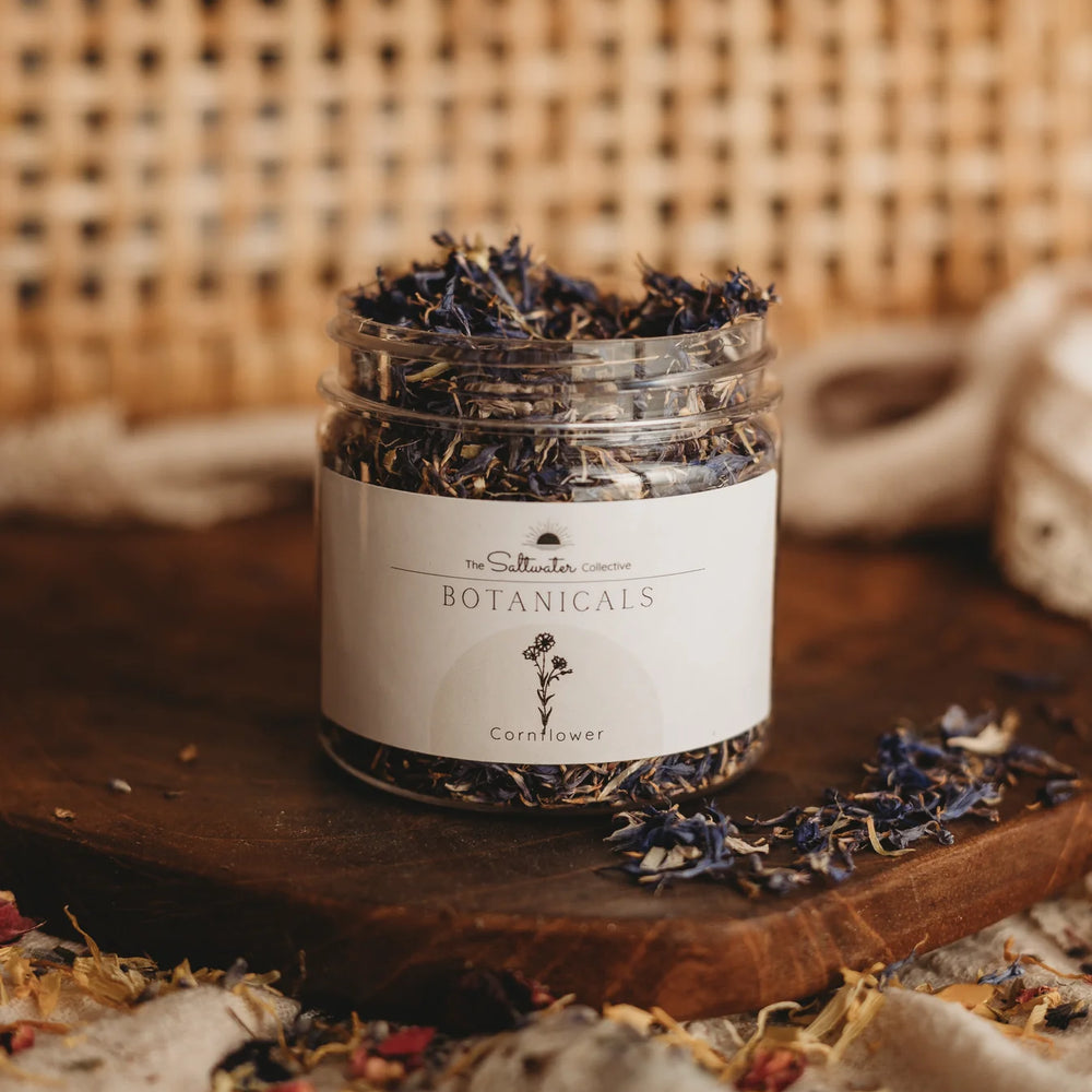 Dried Cornflower