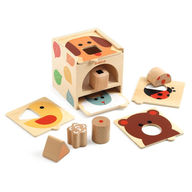 Box Basic Shape Sorter with 5 shape boards