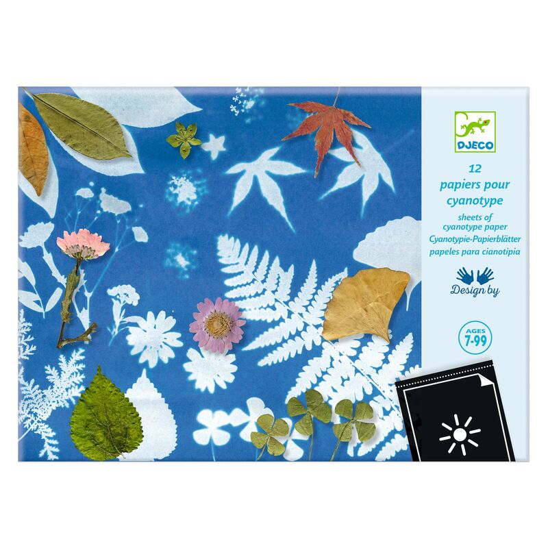 Cyanotype Paper