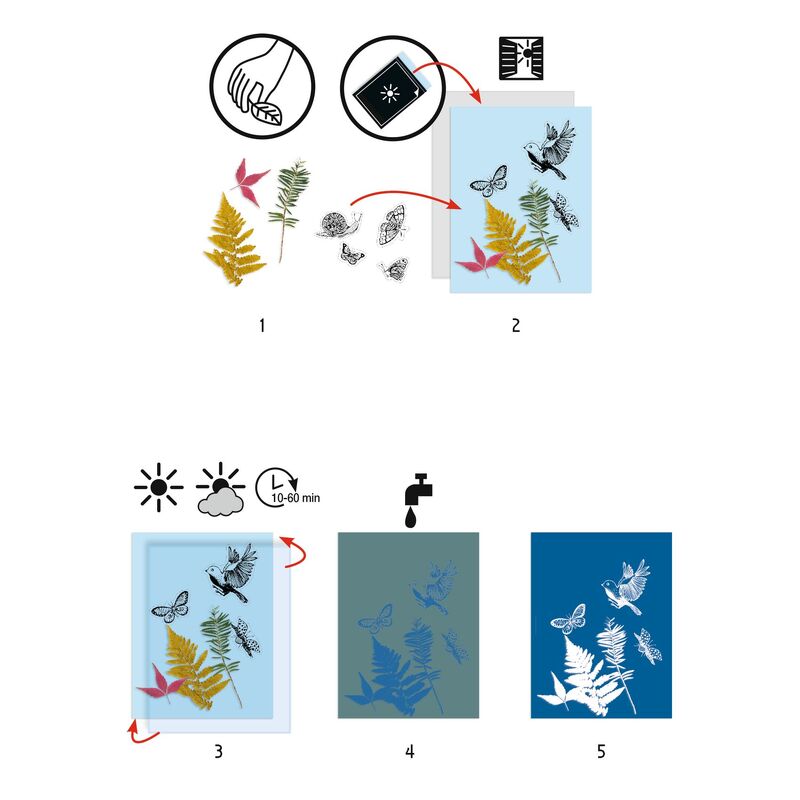 Cyanotype Starter Kit