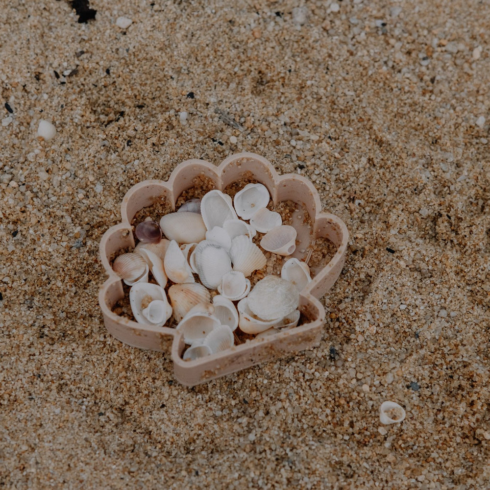 Eco Mould | Sea Shell