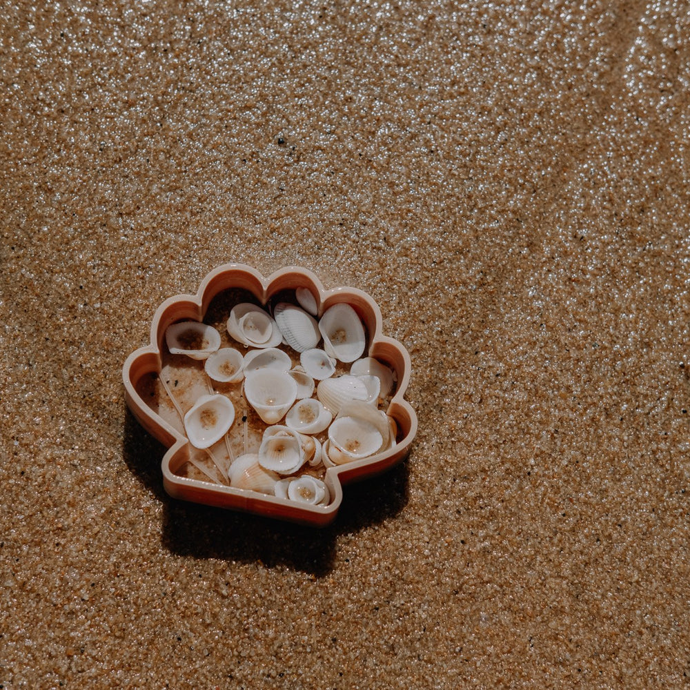 
                      
                        Eco Mould | Sea Shell
                      
                    