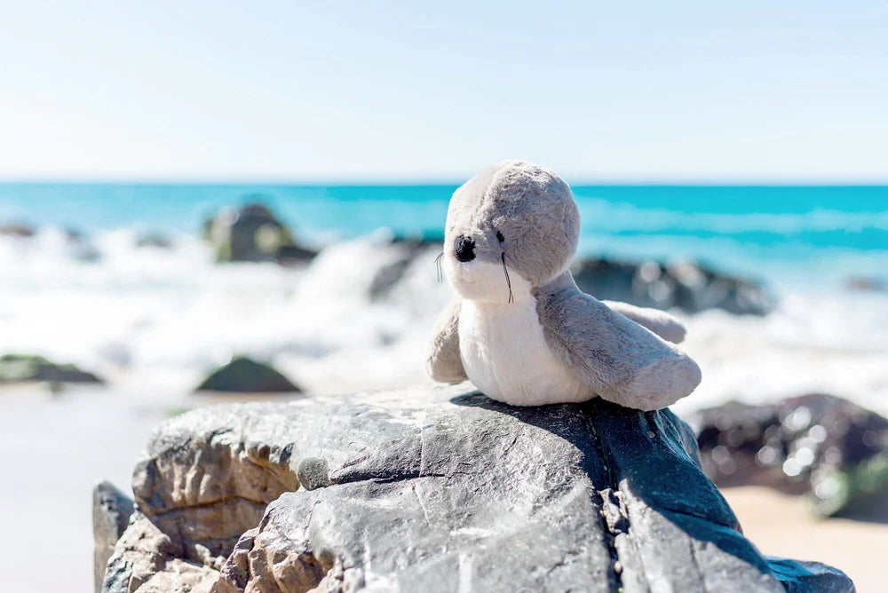 
                      
                        Soli Seal Soft Toy
                      
                    