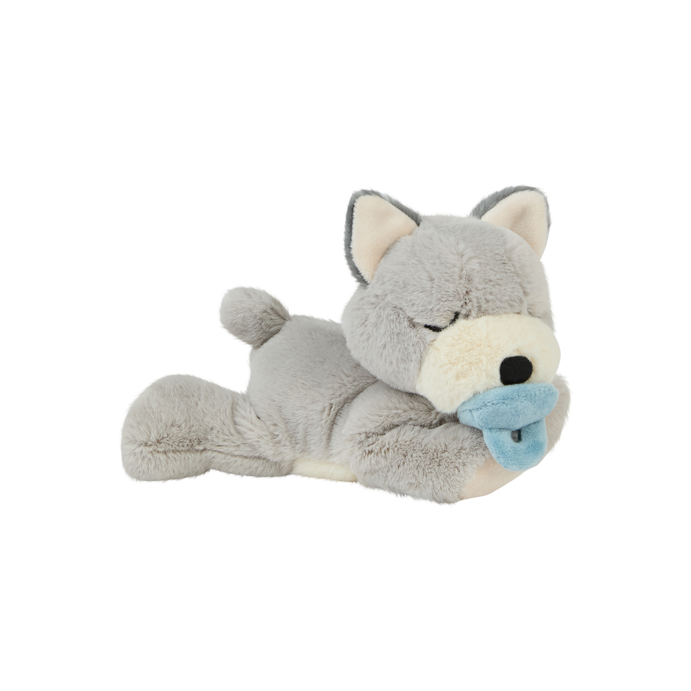 
                      
                        Binky Puppy Banjo
                      
                    