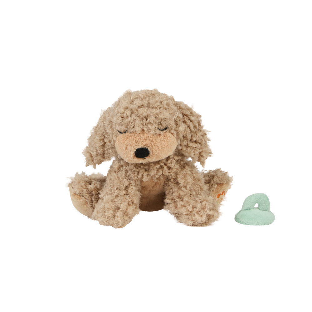 
                      
                        Binky Puppy Benny
                      
                    