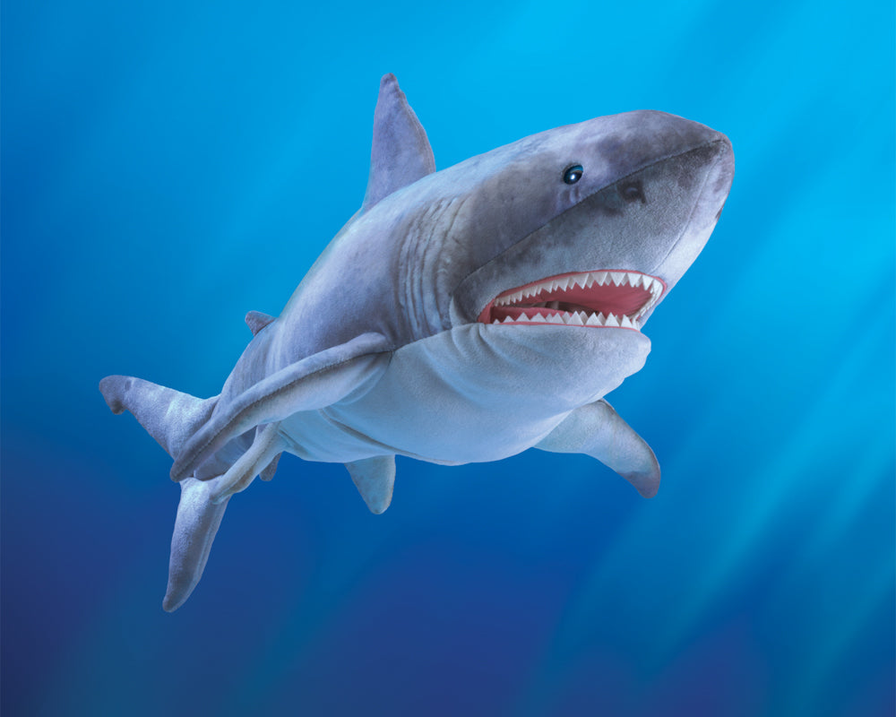 
                      
                        Puppet | Great White Shark
                      
                    