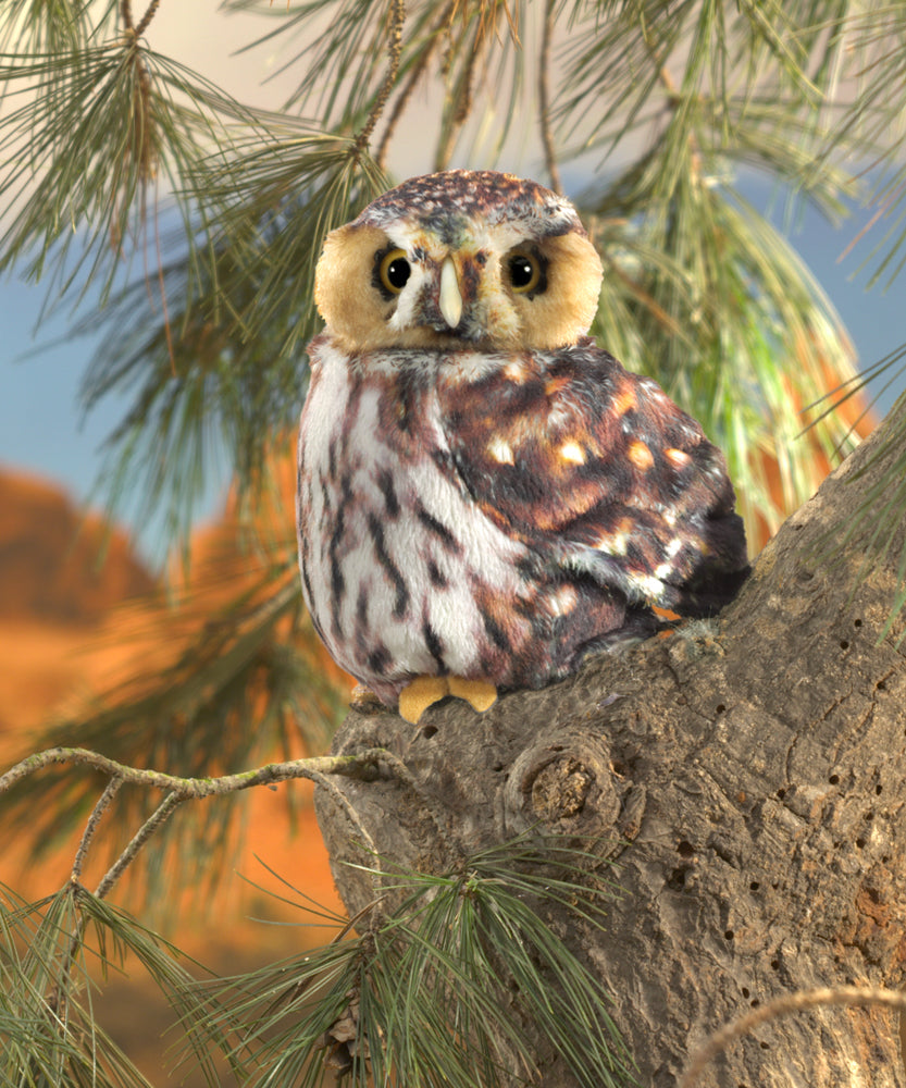 
                      
                        Puppet | Pygmy Owl
                      
                    