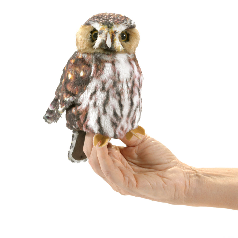 
                      
                        Puppet | Pygmy Owl
                      
                    