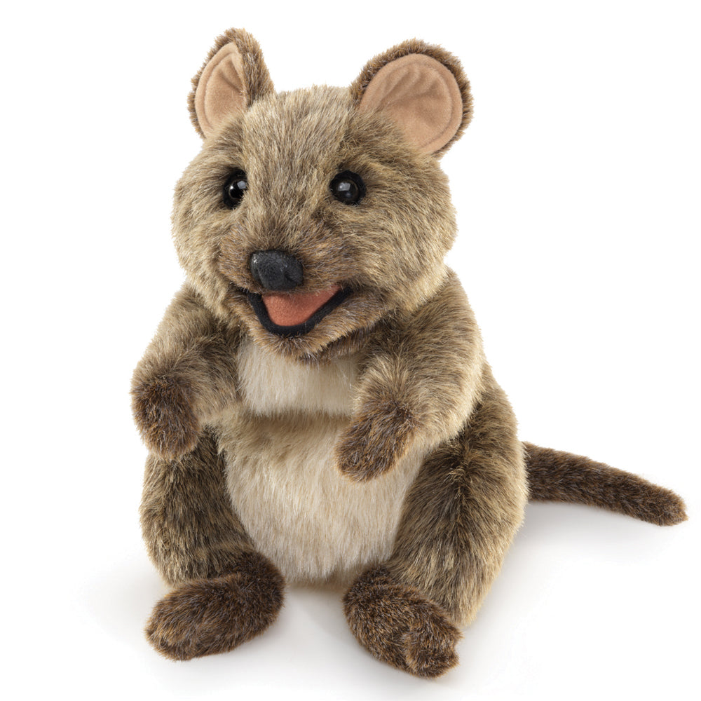 
                      
                        Puppet | Quokka
                      
                    