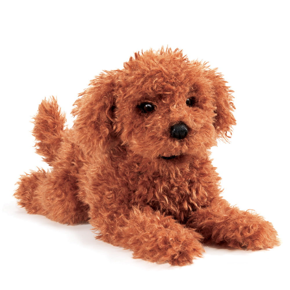 Puppet | Toy Poodle Puppy