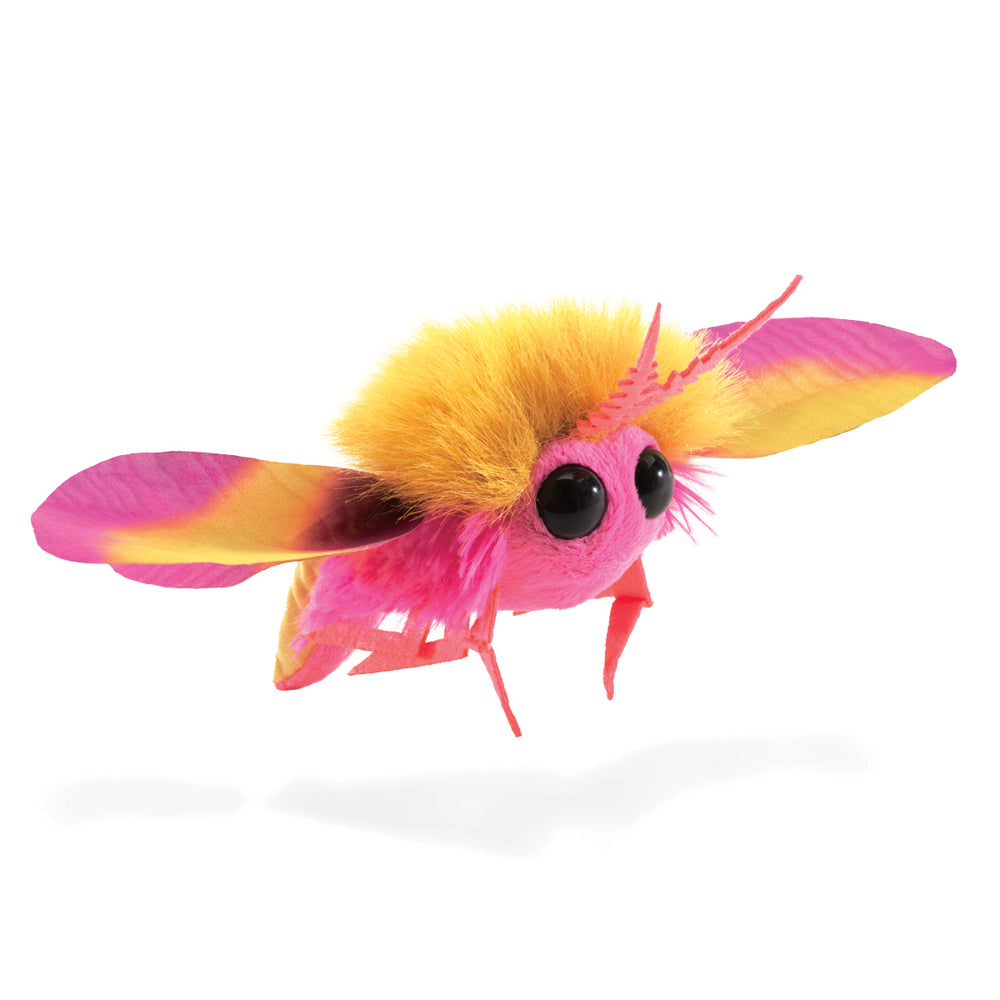 
                      
                        Finger Puppet | Rosy Maple Moth
                      
                    