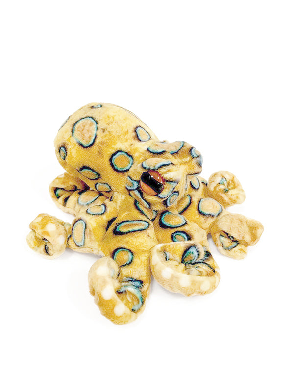 Finger Puppet | Blue Ringed Octopus