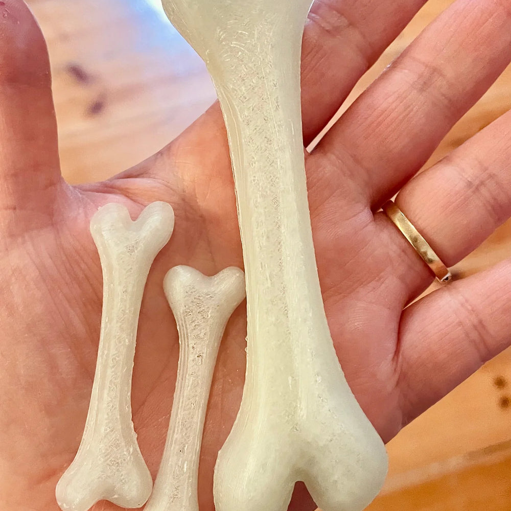
                      
                        Glow In The Dark Bones
                      
                    