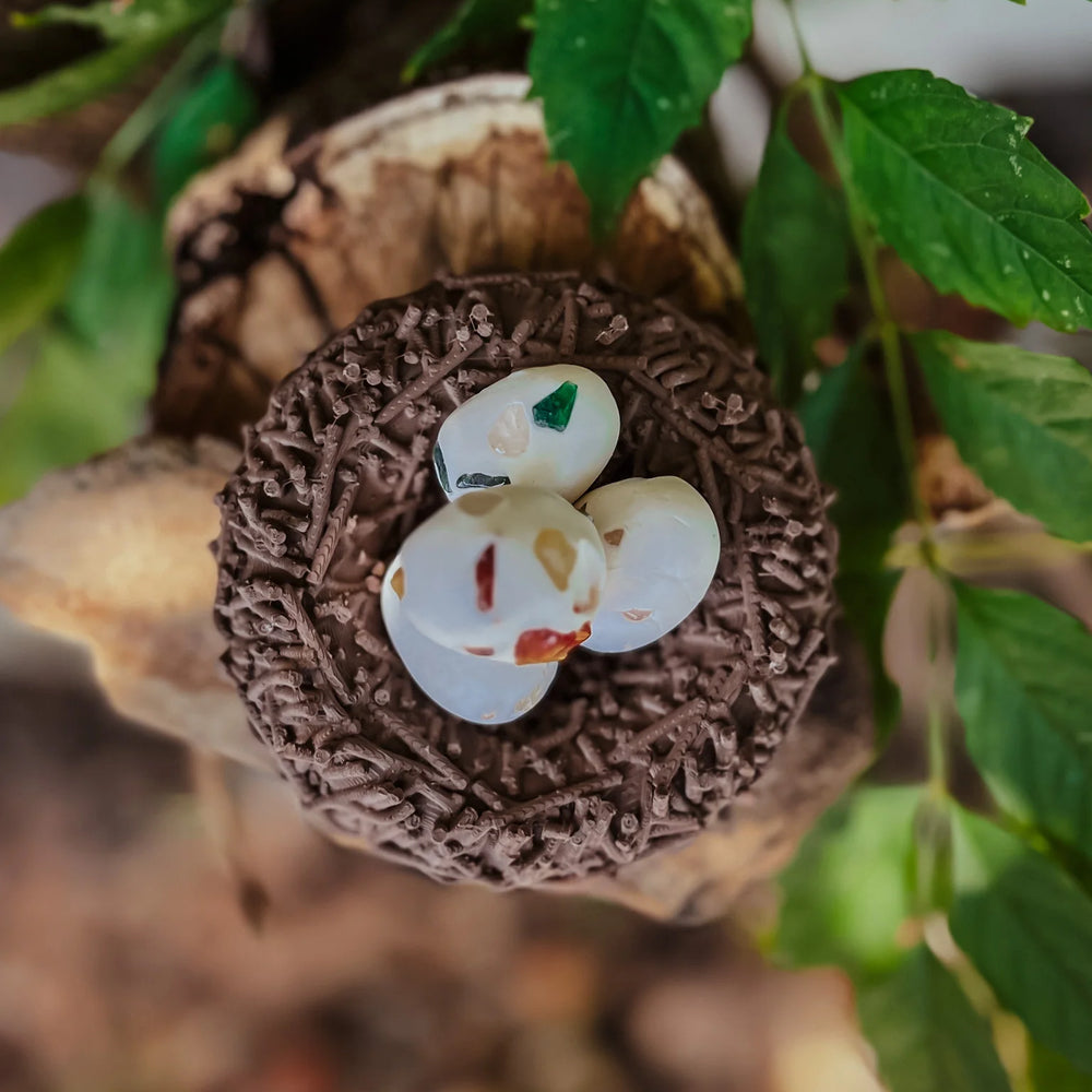 Beadie Bird Nest