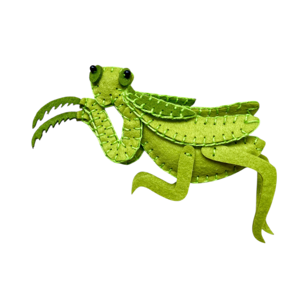 Felt DIY Kit | Grasshopper