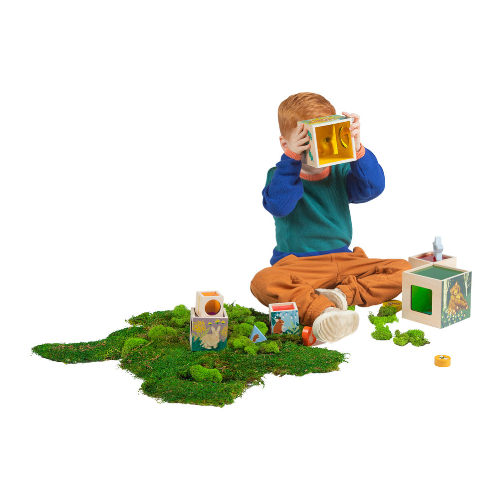 
                      
                        Enchanted Forest Stacking Blocks
                      
                    