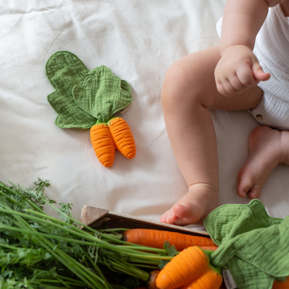 
                      
                        Mini Doudou Teether | Cathy The Carrot
                      
                    