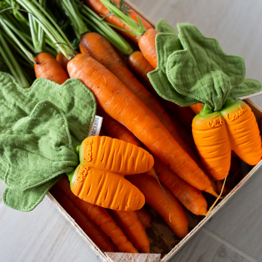
                      
                        Mini Doudou Teether | Cathy The Carrot
                      
                    