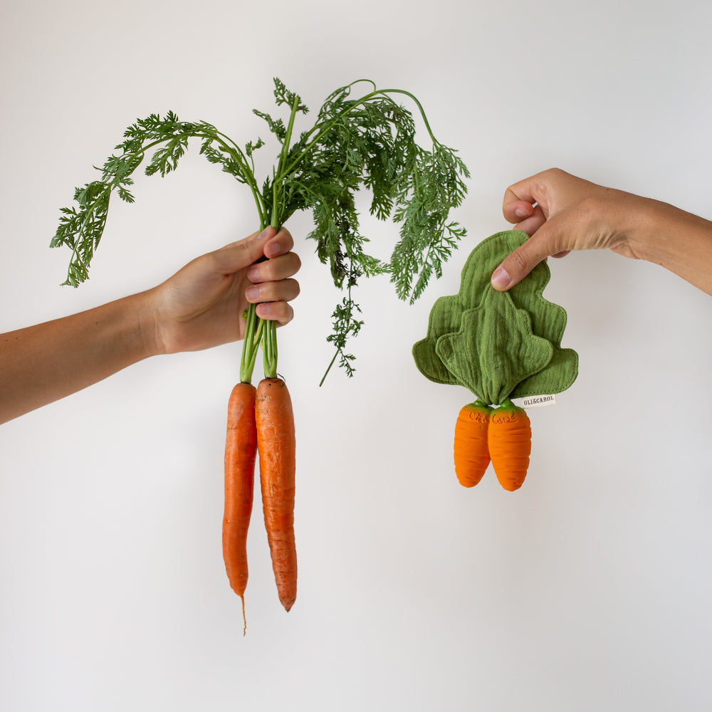 
                      
                        Mini Doudou Teether | Cathy The Carrot
                      
                    