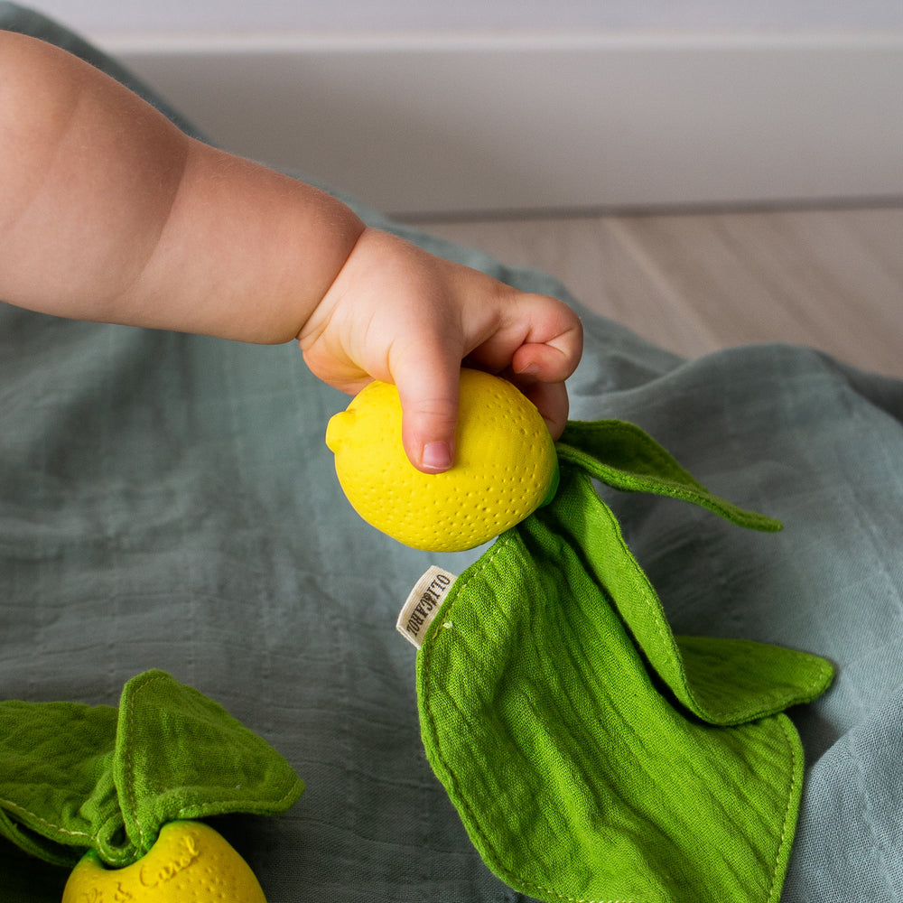 
                      
                        Mini Doudou Teether | John Lemon
                      
                    
