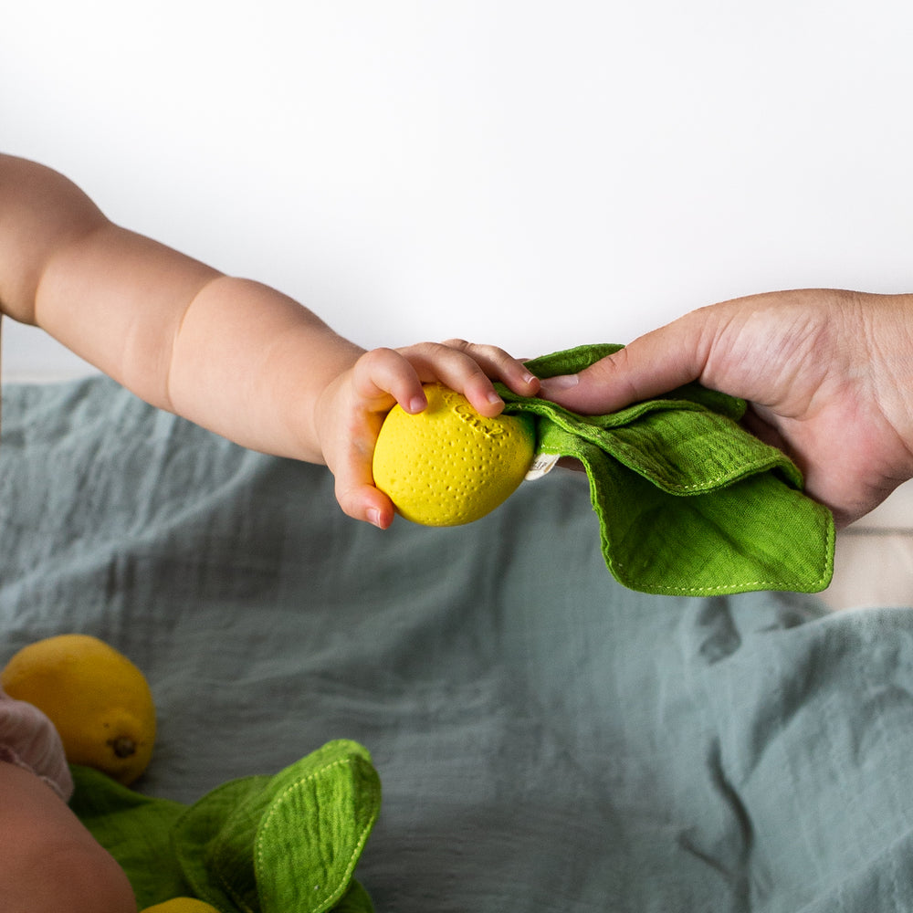 
                      
                        Mini Doudou Teether | John Lemon
                      
                    