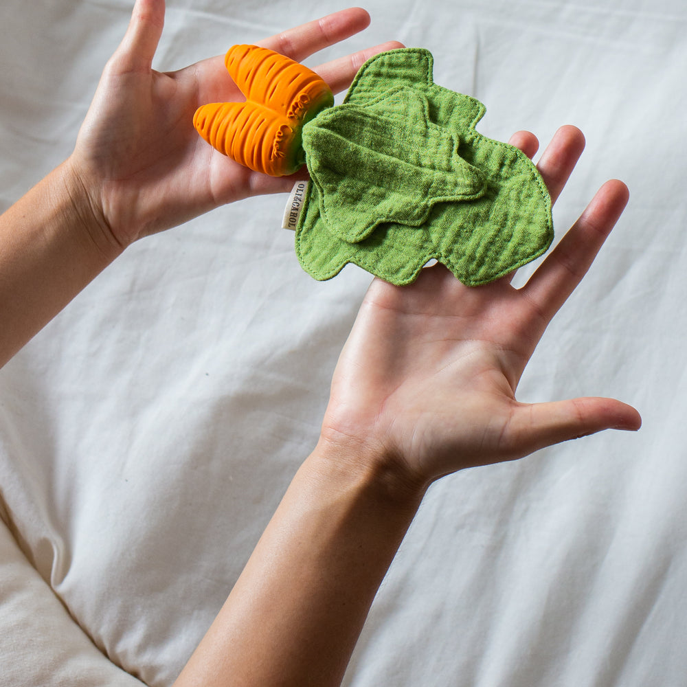 
                      
                        Mini Doudou Teether | Cathy The Carrot
                      
                    